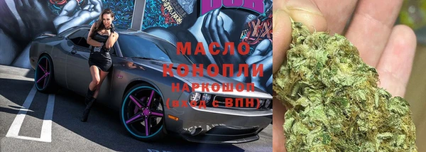 индика Куйбышев