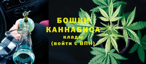гидра Лагань