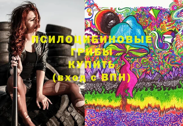 МДПВ Кукмор