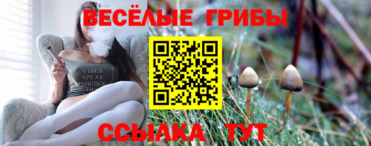 Псилоцибиновые грибы Magic Shrooms Кунгур