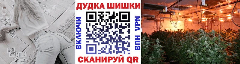 МАРИХУАНА OG Kush Кунгур